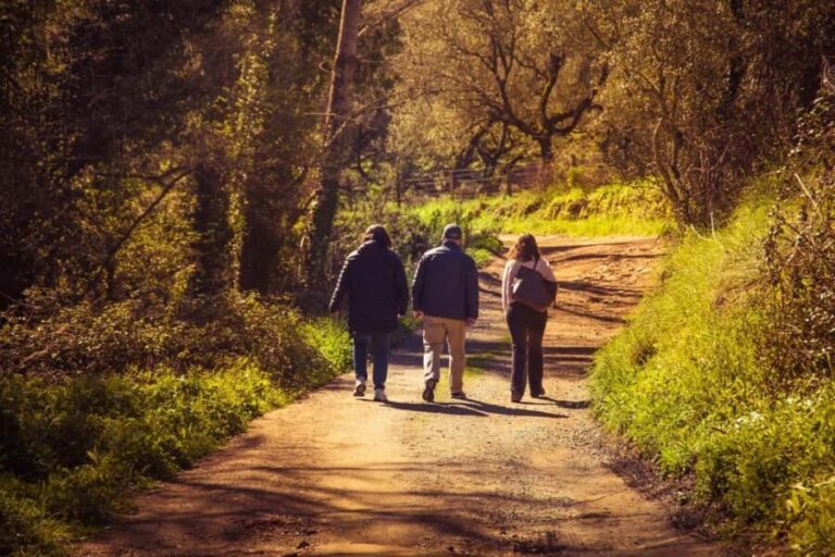 From Seville: White Villages of Huelva Private Full-Day Tour - What to Expect During the Day