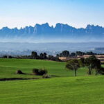From Sitges: Montserrat, Lunch and Winery with Hotel Pick Up - Exploring the Montserrat, Lunch, and Winery Tour in Depth
