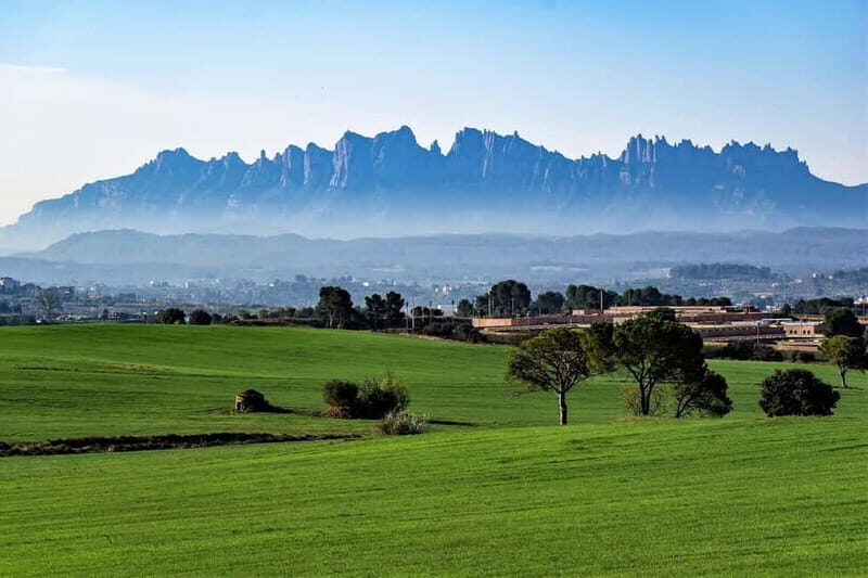 From Sitges: Montserrat, Lunch and Winery with Hotel Pick Up - Exploring the Montserrat, Lunch, and Winery Tour in Depth