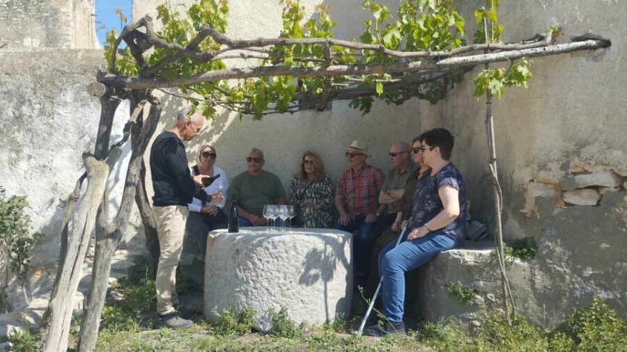 From Sitges: Wine Tasting at 2 Wineries, Snacks and Pickup - Starting Point: From Sitges to the Penedes Region