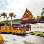 From South Tenerife: Loro Park Zoo Ticket & Hotel Transfers - Exploring Tenerife’s Animal Paradise: A Deep Dive into the Loro Parque Tour