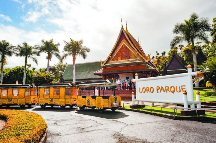 From South Tenerife: Loro Park Zoo Ticket & Hotel Transfers - Exploring Tenerife’s Animal Paradise: A Deep Dive into the Loro Parque Tour