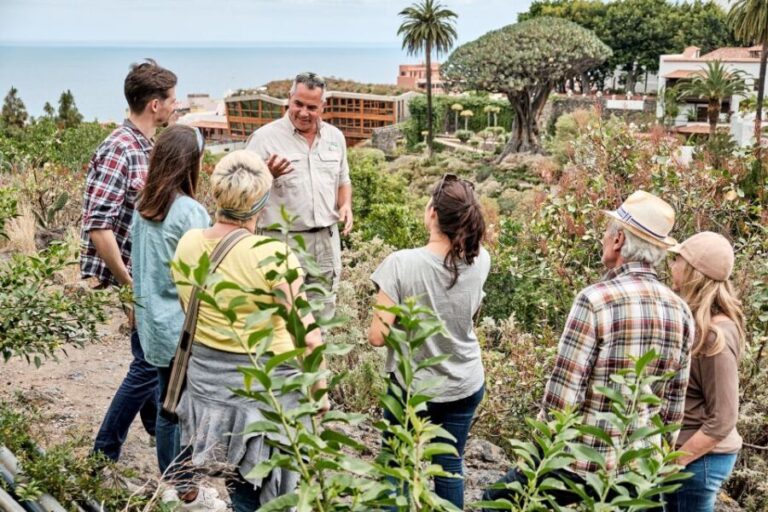 From South Tenerife: VIP Grand Tour Tenerife island - Why This Tour Is Worth Your Time