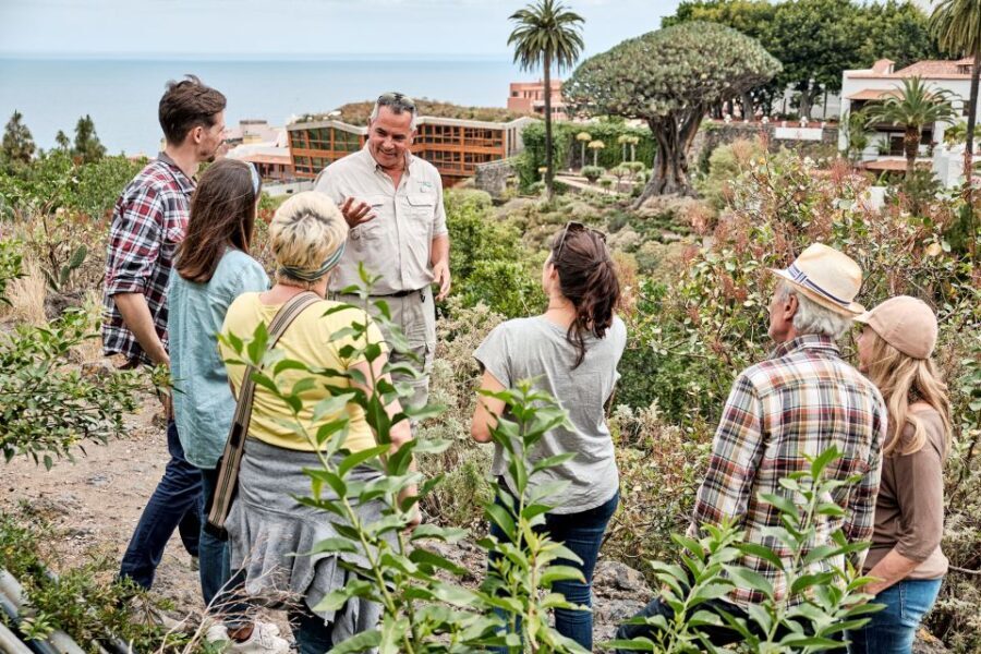 From South Tenerife: VIP Grand Tour Tenerife island - Why This Tour Is Worth Your Time