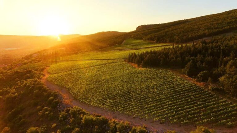 From Split: Blue and Red Lakes and Winery Grabovac Tour - What to Expect at the Lakes