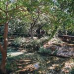 From Split: Krka Waterfalls Tour with Boat Cruise & Swimming - Practicalities and What to Expect