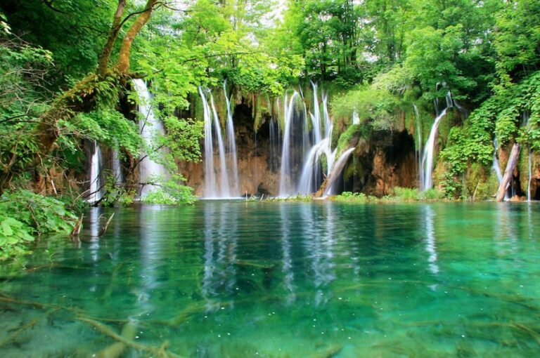 From Split or Trogir: Plitvice Lakes Private Tour - A Well-Organized Day in the Heart of Nature