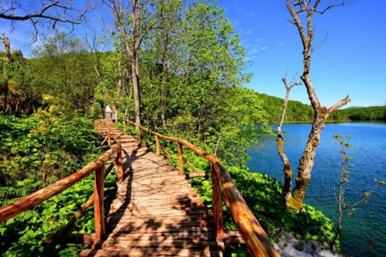 From Split or Trogir: Plitvice Lakes Trip with Entry Ticket - Transport and Logistics
