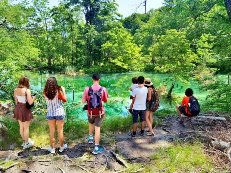 From Split: Plitvice Lakes Guided Tour with Entry Tickets - The Bottom Line