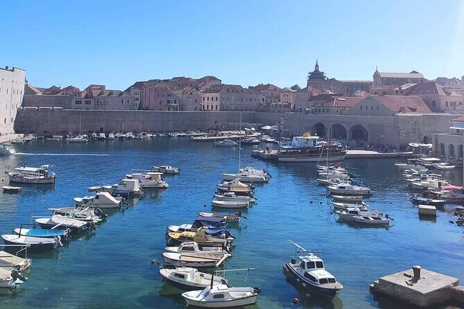 From Split/Trogir Small group tour to Dubrovnik with stop in Ston - Transportation and Group Dynamics