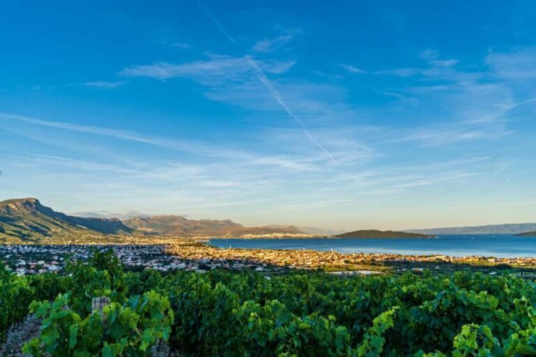 From Split: Vineyard Tour with Wine Tasting - Authentic Experiences That Matter