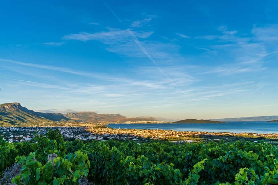 From Split: Vineyard Tour with Wine Tasting - Authentic Experiences That Matter