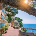 From the ports of The French Riviera Private Shore Excursion - Who Should Consider This Tour?