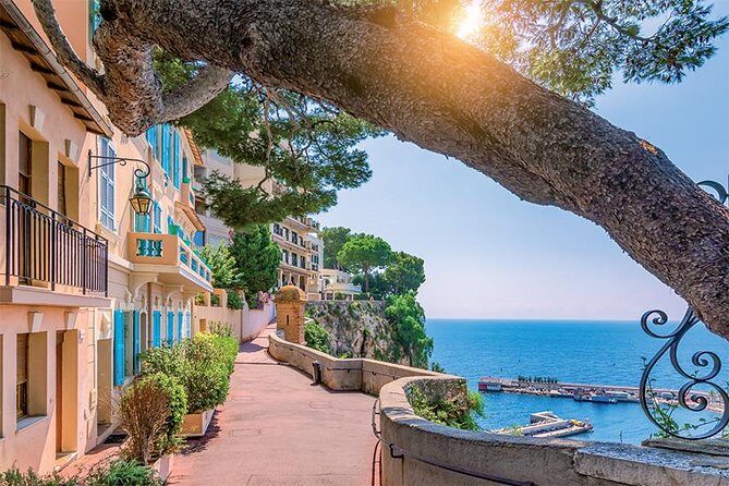 From the ports of The French Riviera Private Shore Excursion - Who Should Consider This Tour?
