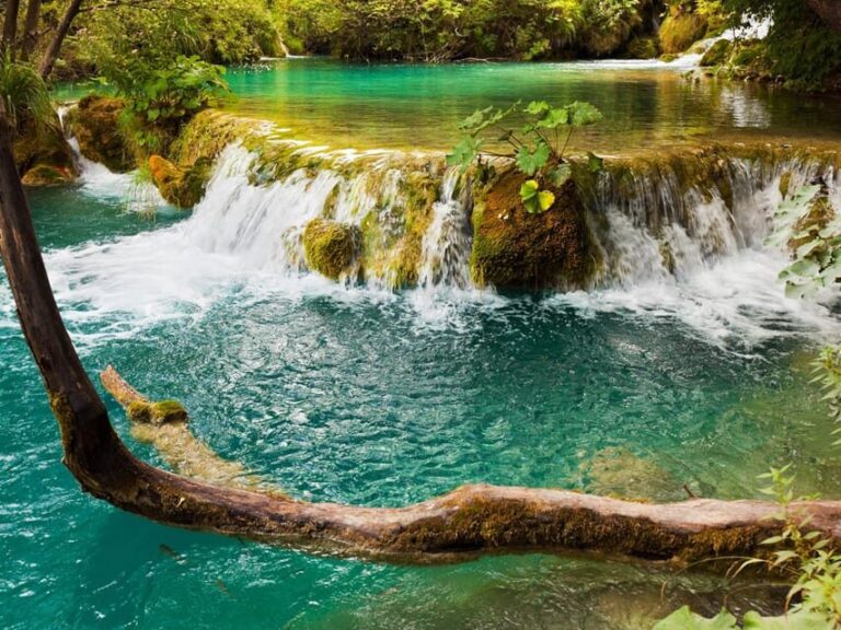 From Trogir, Seget & Okrug: Krka Waterfalls & Swimming - An In-Depth Look at the Tour Experience