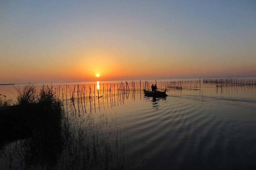 From Valencia: Albufera Boat Ride & Food (Paella) Included - What You Can Expect from This Tour
