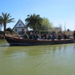 From Valencia: Albufera Natural Park Bus, Cruise and Lunch - Practical Tips for Making the Most of Your Trip