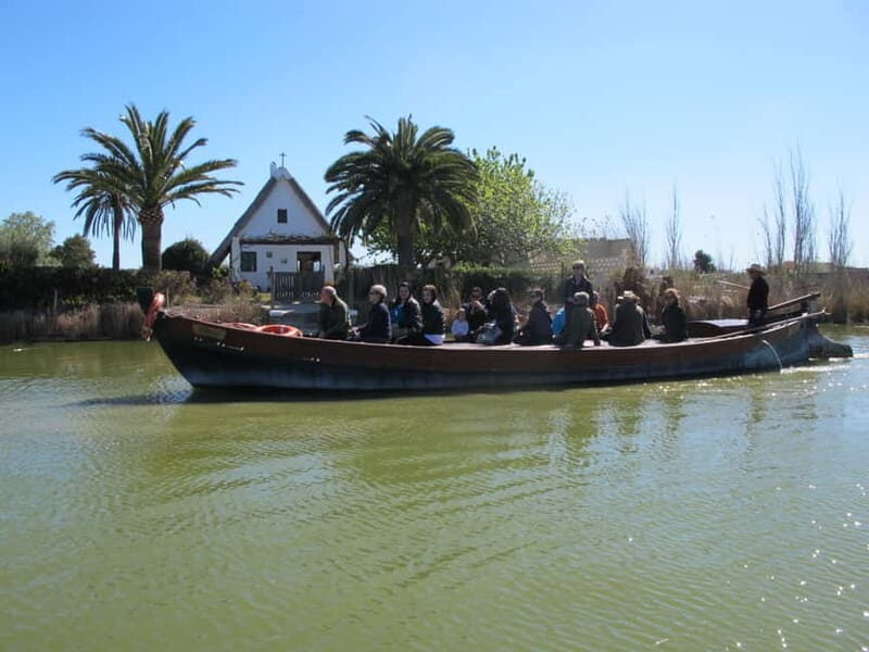 From Valencia: Albufera Natural Park Bus, Cruise and Lunch - Practical Tips for Making the Most of Your Trip