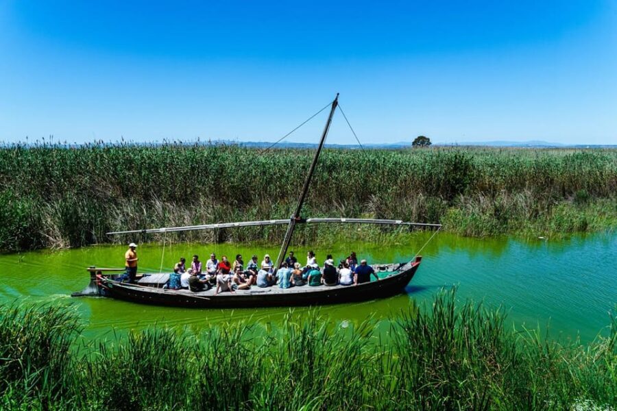 From Valencia: Albufera Private Tour, Paella & Boat Ride - Exploring Estany del Pujol: A Birdwatcher’s Dream