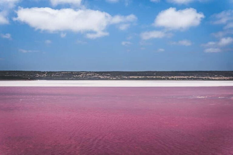 From Valencia: Pink lagoon and Alicante, colors, sea and sunshine. - What’s Included and What’s Not