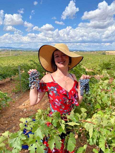 From Valencia: Utiel-Requena Wine Tour and Traditional Lunch - The Value of the Experience