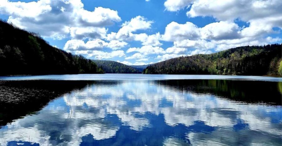 From Zadar: Plitvice Lakes Day Tour - What Travelers Are Saying