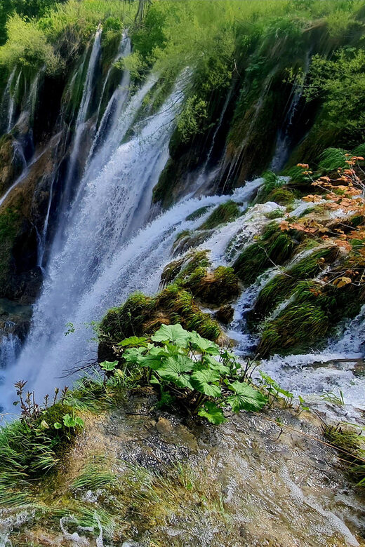 From Zadar: Plitvice Lakes Day Trip with Guide and Boat Tour - The Cost and Value