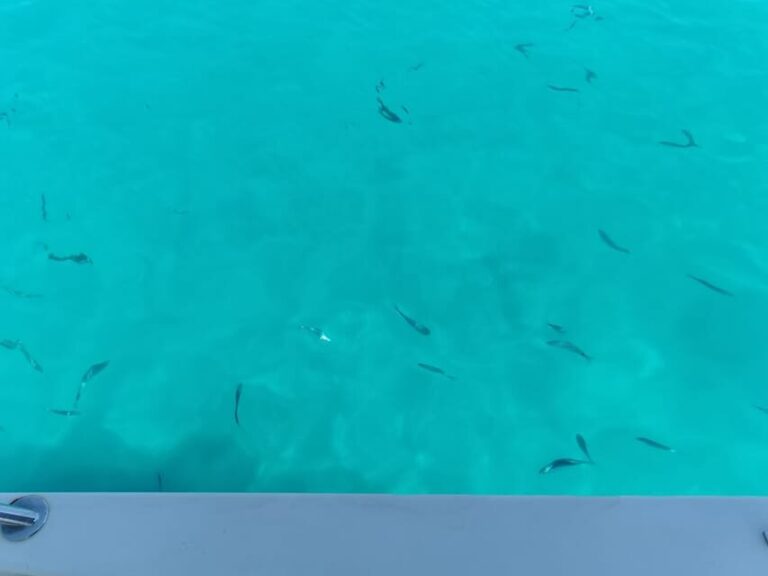 From Zadar: Sakarun Beach Private Speed Boat Tour - The Sunken Ship: An Underwater Treasure