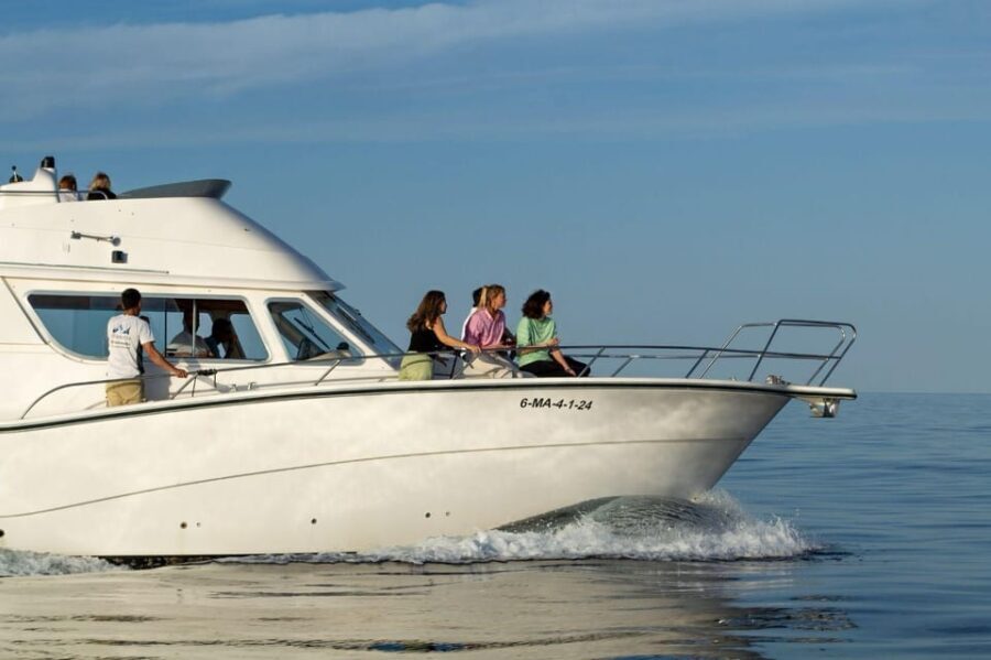 Fuengirola- 2 Hr Excursion en Yate con bebidas y apertivos - Practical Considerations