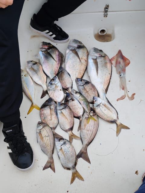 Fuengirola: Bottom Fishing with Jigging and Squid, 2, 4 and 6 hours - Summary