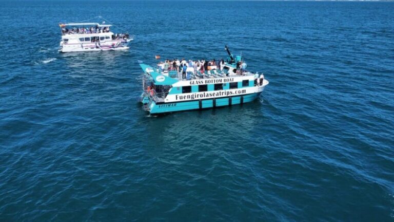 Fuengirola: Catamaran Tour to Spot Dolphins - The Itinerary and What You’ll Experience