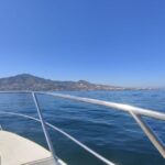Fuengirola: Fantastic Dolphin Watching Yacht Tour with Drink - An In-Depth Look at the Dolphin Watching Yacht Tour