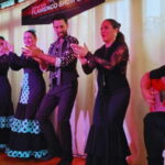 Fuengirola: Flamenco Show at Tipi Tapa Restaurant near Mijas - A Closer Look at the Flamenco Show Experience