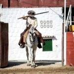 Fuengirola: Spanish Horse Show with Optional Dinner/Flamenco - Why the Tour Works Well for Travelers