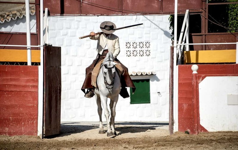 Fuengirola: Spanish Horse Show with Optional Dinner/Flamenco - Why the Tour Works Well for Travelers