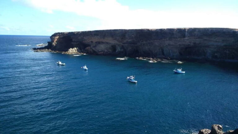 Fuerteventa: Ajuy Pirate Caves & Aloe Factory Half-Day Trip - A Detailed Look at the Fuerteventura Ajuy & Aloe Vera Tour