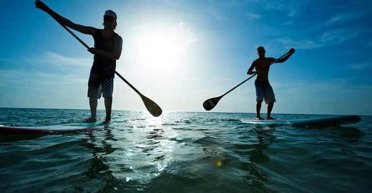 Fuerteventura: 1.5-Hour SUP Course - Caleta de Fuste - Why This SUP Course Is a Great Choice