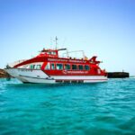 Fuerteventura: 1-Hour Mini Swim & Snorkel Cruise - What Makes This Tour Special