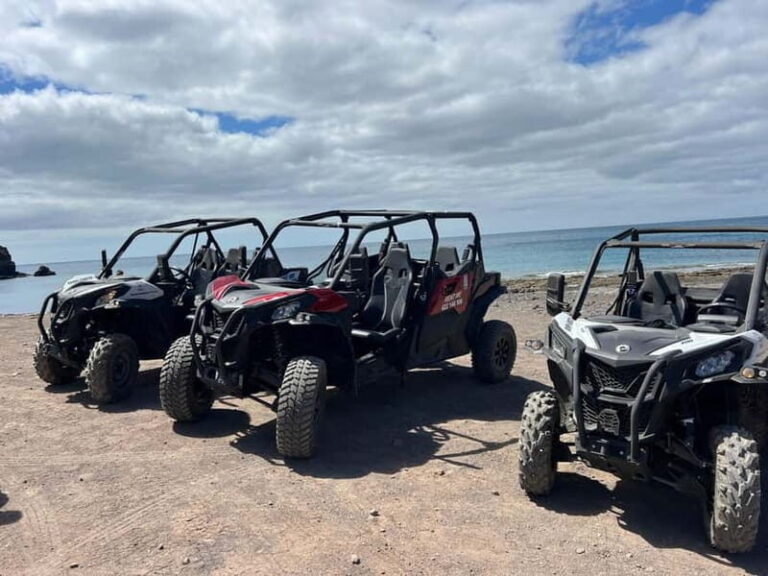 Fuerteventura: Can am buggy experience Costa Calma - What’s Included and What’s Not