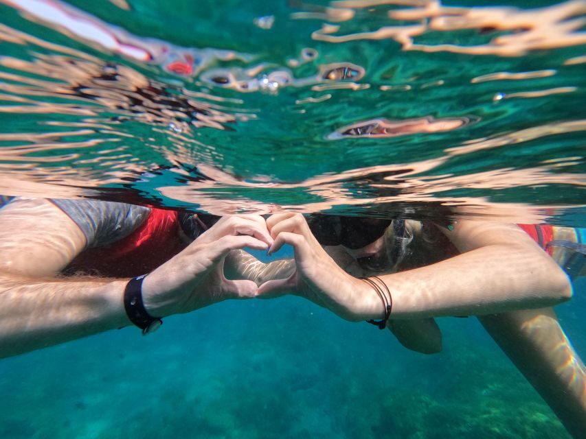 Fuerteventura: Guided Snorkeling in La Lajita with Pickup - FAQ