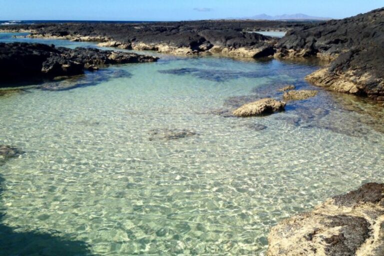 Fuerteventura North Full-Day Tour - Practical Details: What to Know Before Booking