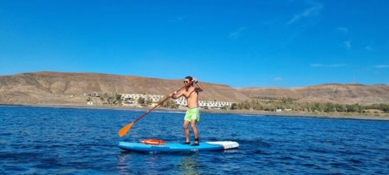 Fuerteventura : Stand Up Paddle - A Closer Look at the Fuerteventura SUP Tour
