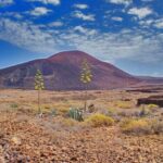 Fuerteventura: Trekking Tour Through the North of the Island - Who Will Love This Tour?