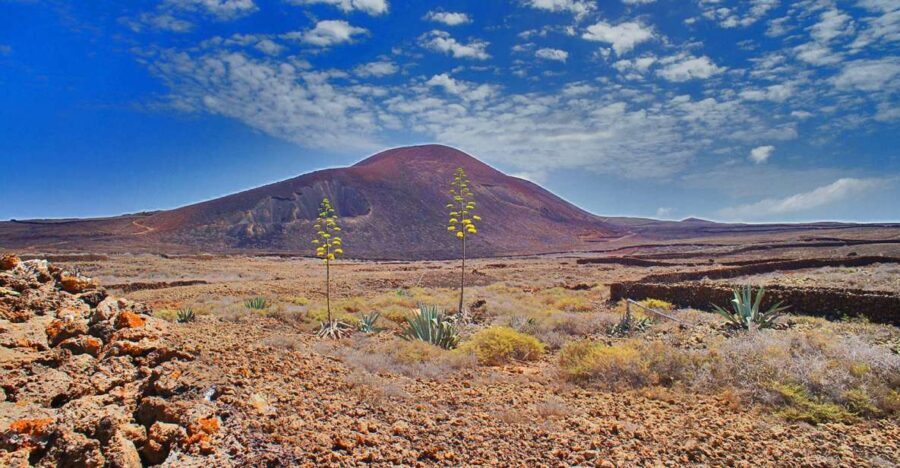 Fuerteventura: Trekking Tour Through the North of the Island - Who Will Love This Tour?