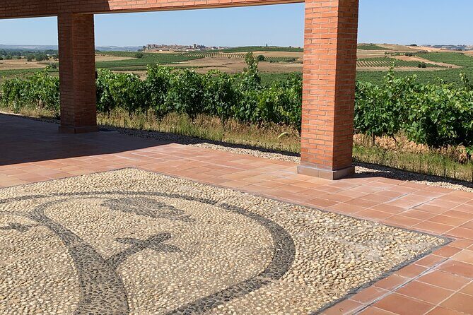 Full day at the winery, visit, tasting, aperitif and lunch - Who Should Consider This Tour?