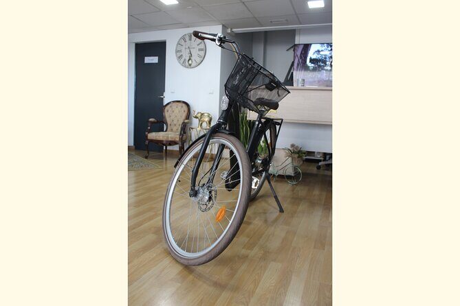 Full Day Bike Rental in Malaga - Authentic Experiences and Authentic Reviews