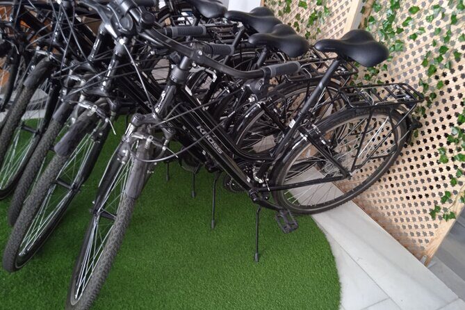 Full Day Bike Rental in Seville - Who Will Benefit Most?