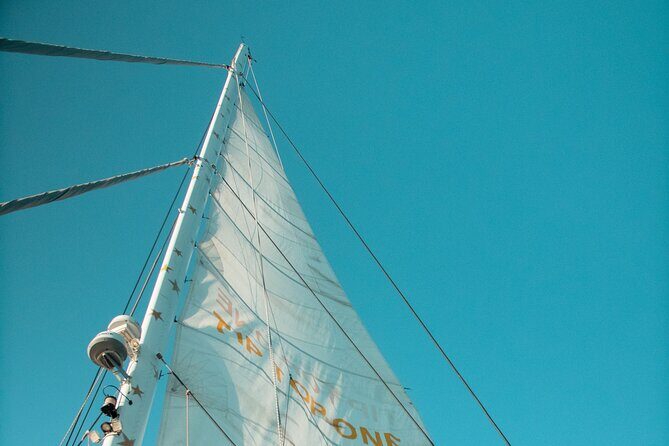 Full-Day Catamaran Cruise with Lunch in Island of Malta - Final Thoughts