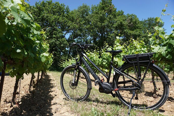 Full day E-Bike rental in the Luberon - Discovering the Luberon on two wheels