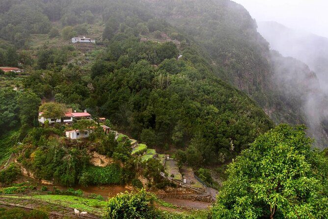 Full Day Guided Tour to La Gomera from Tenerife - Who Should Consider This Tour?
